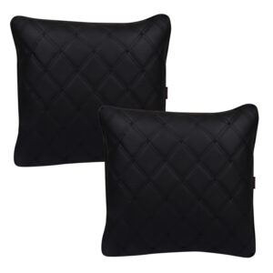 cushion set of 2 (for all cars)
